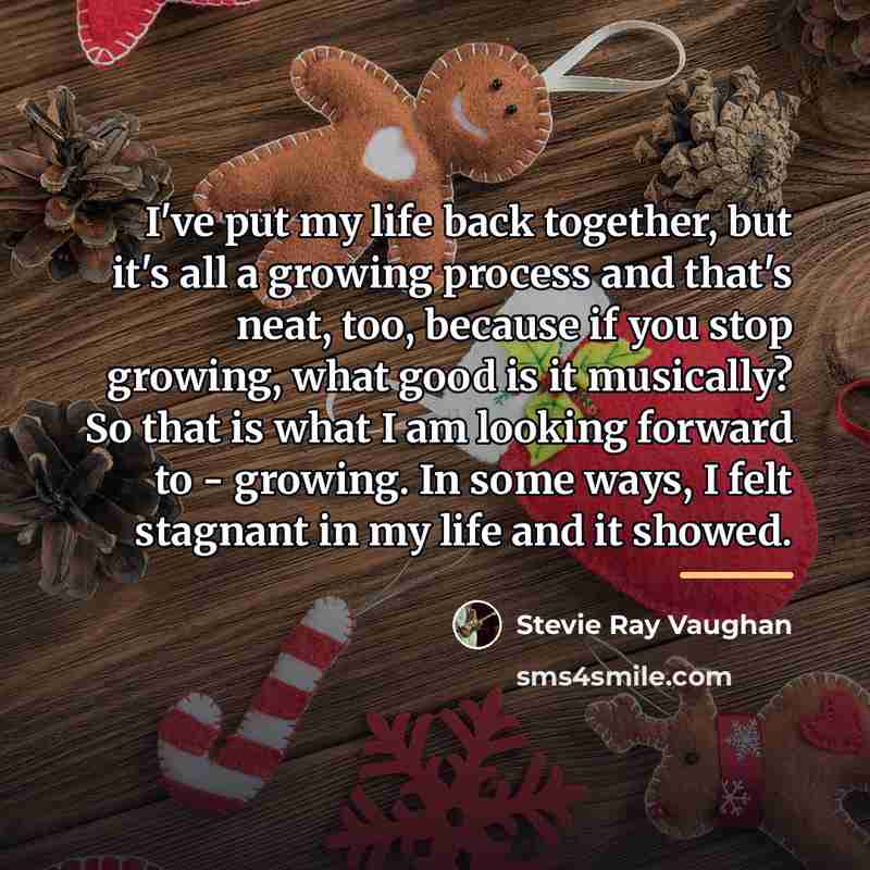 “I've put my life back together, but it's all a…” quote by Stevie Ray Vaughan