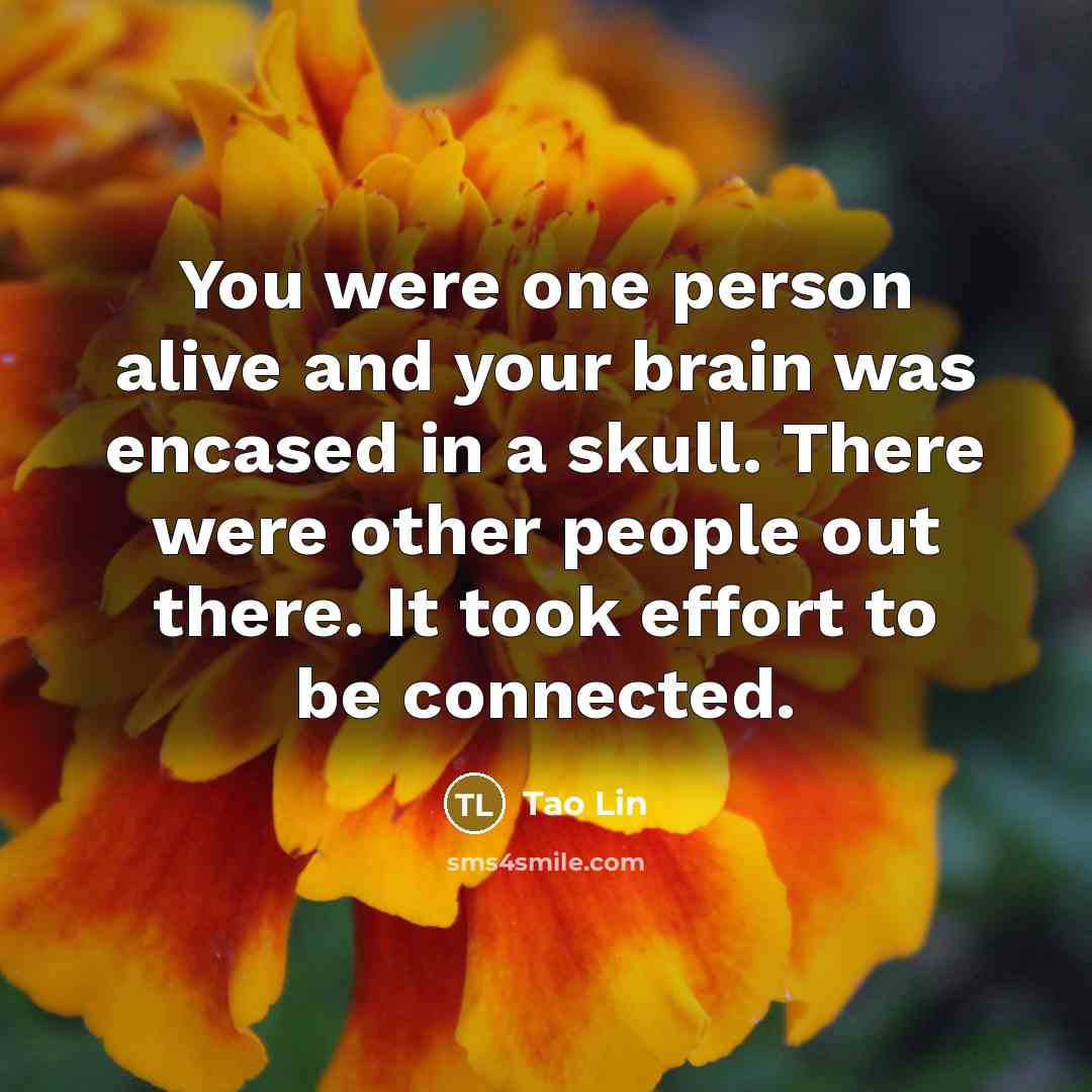 “You were one person alive and your brain was encased…” quote by Tao Lin