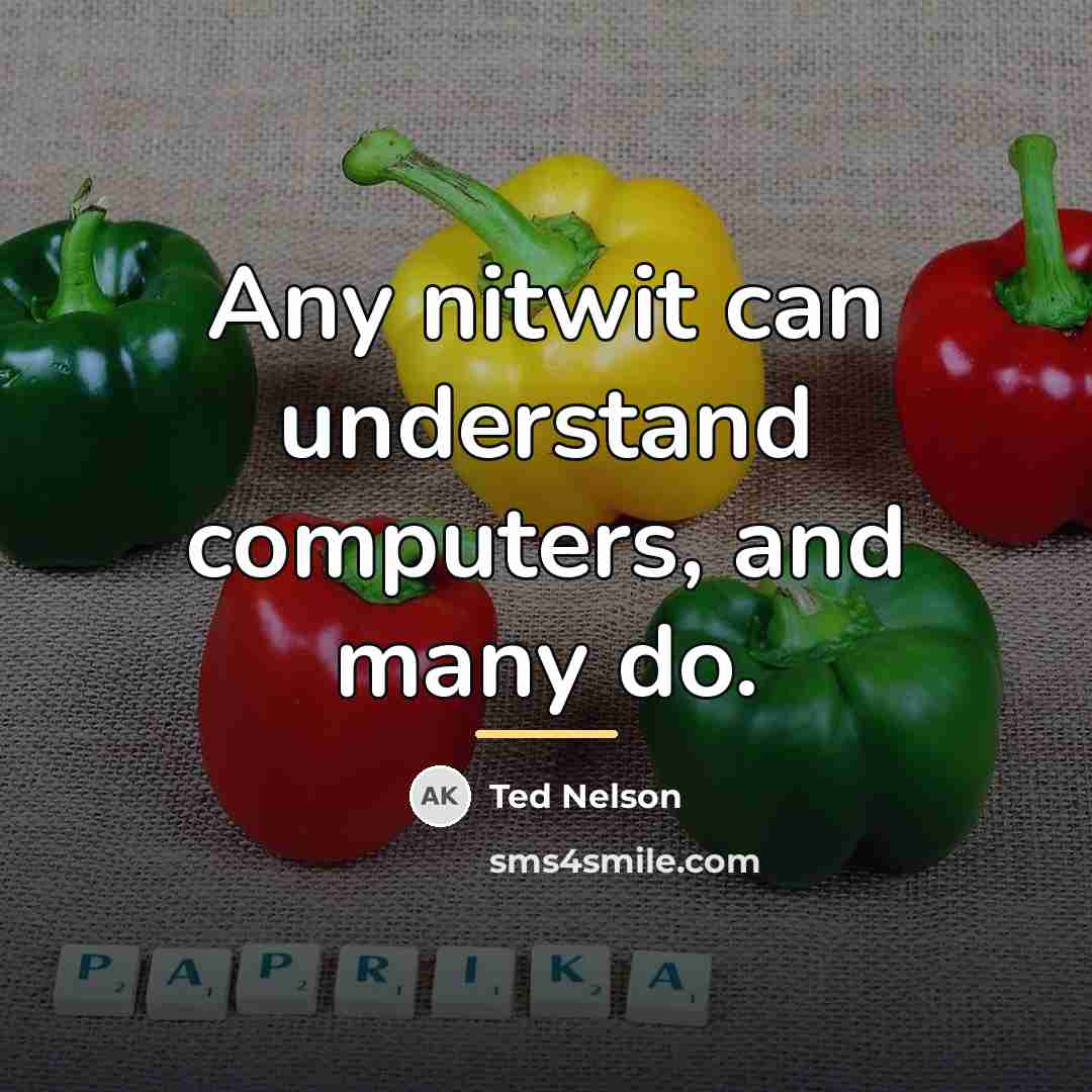 “Any nitwit can understand computers, and many do.…” quote by Ted Nelson