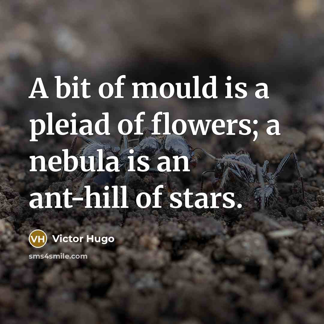 “A bit of mould is a pleiad of flowers; a…” quote by Victor Hugo