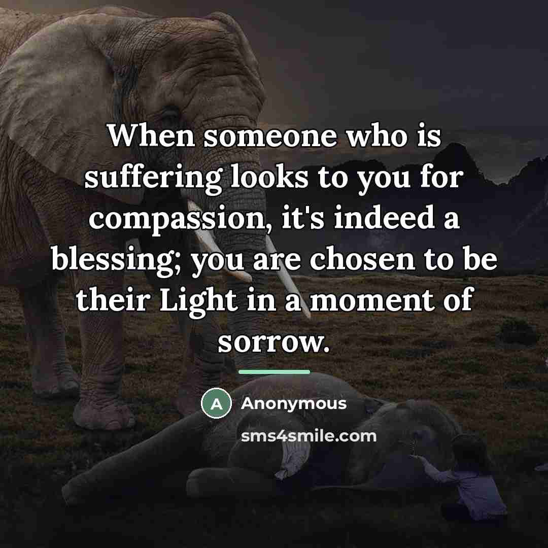 “When someone who is suffering looks to you for compassion,…” quote by Anonymous