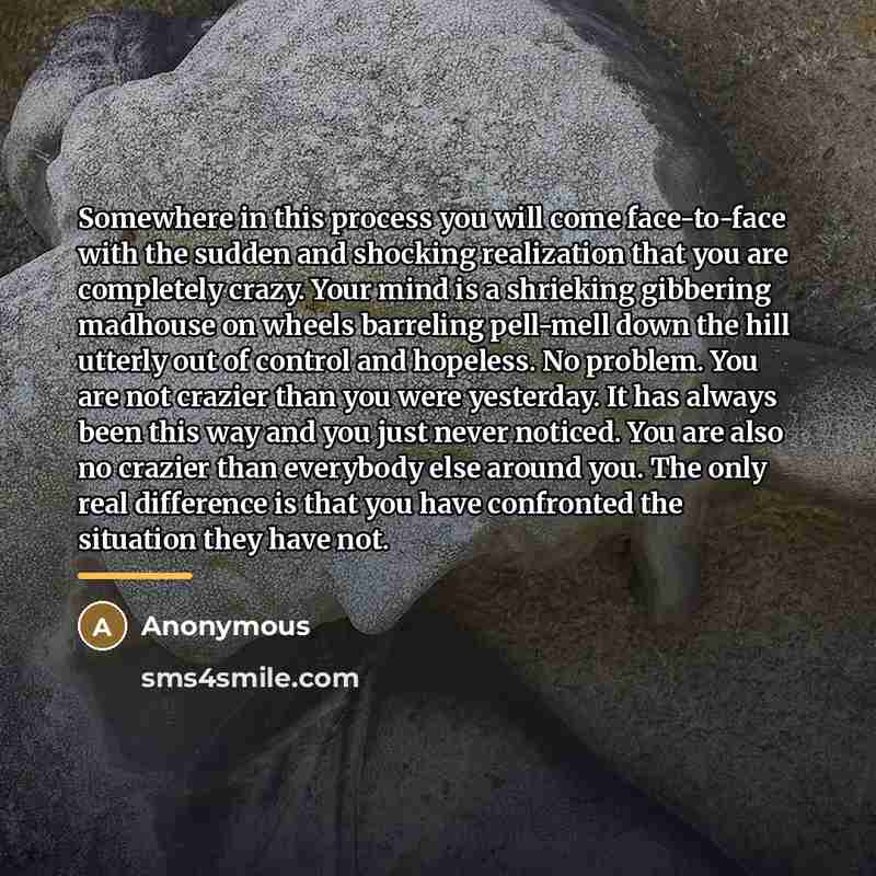 “Somewhere in this process you will come face-to-face with the…” quote by Anonymous