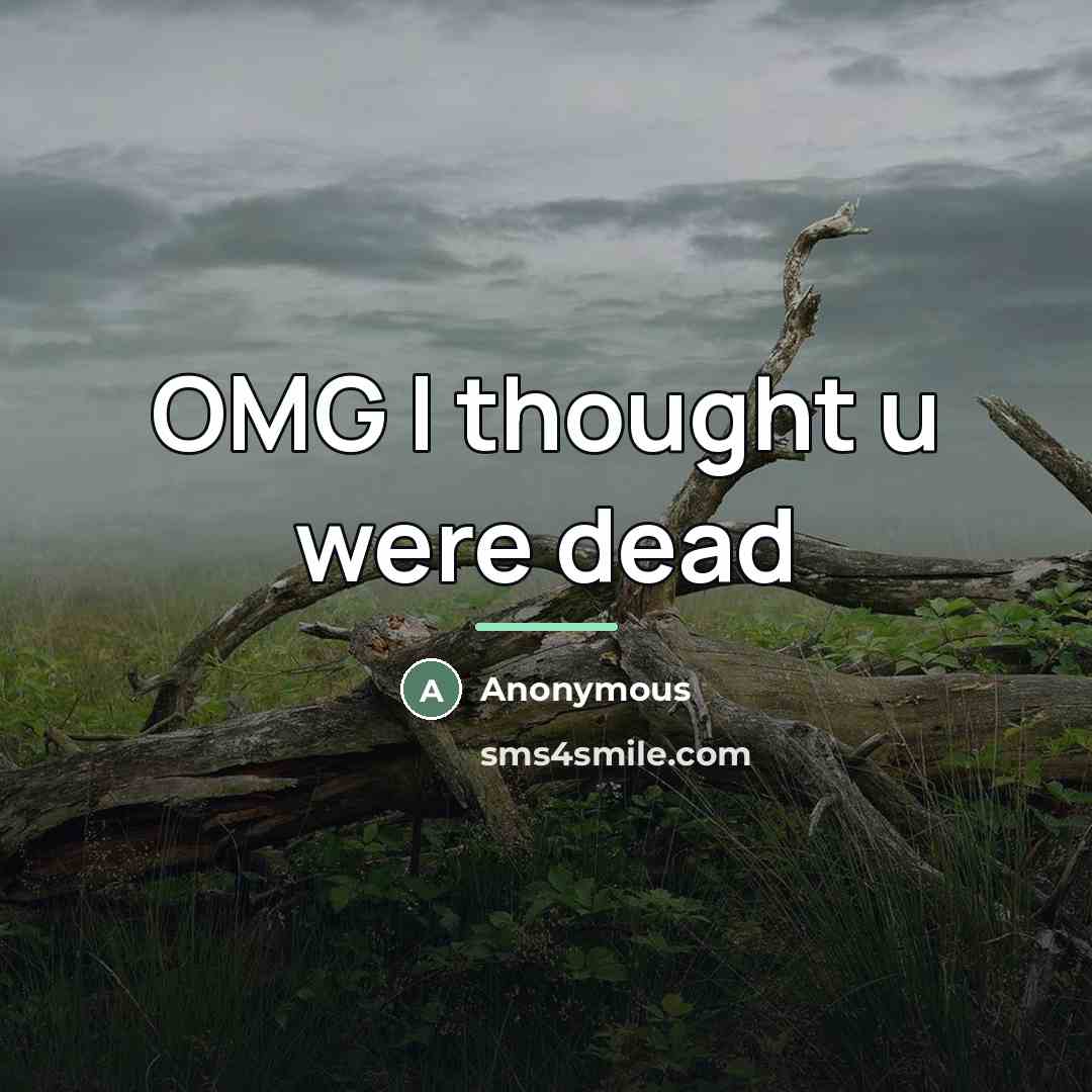 “OMG I thought u were dead…” quote by Anonymous