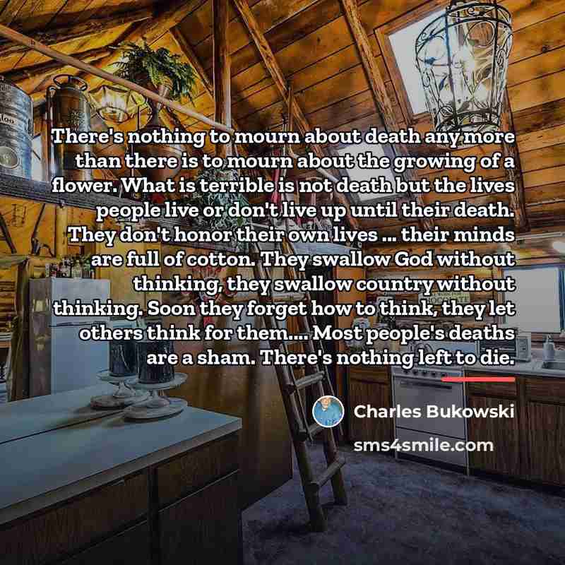 “There's nothing to mourn about death any more than there…” quote by Charles Bukowski