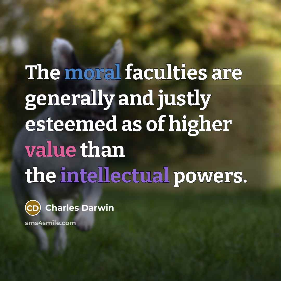 “The moral faculties are generally and justly esteemed as of…” quote by Charles Darwin