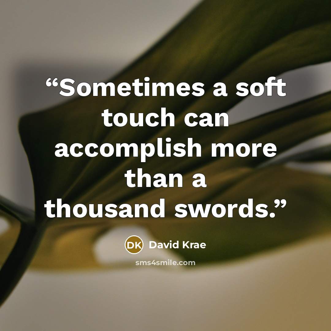 “Sometimes a soft touch can accomplish more than a thousand swords.” quote by David Krae