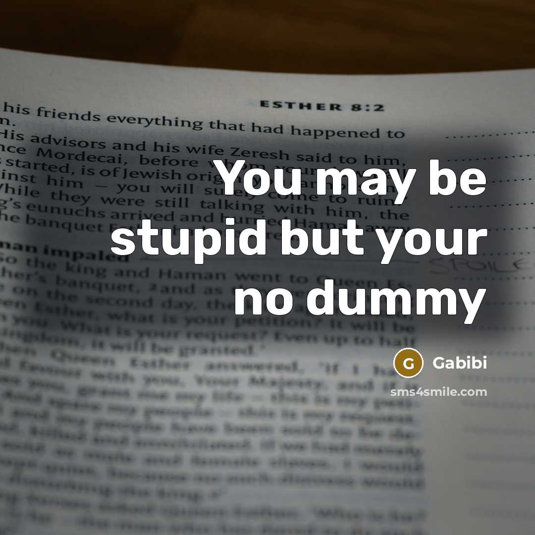 “You may be stupid but your no dummy…” quote by Gabibi