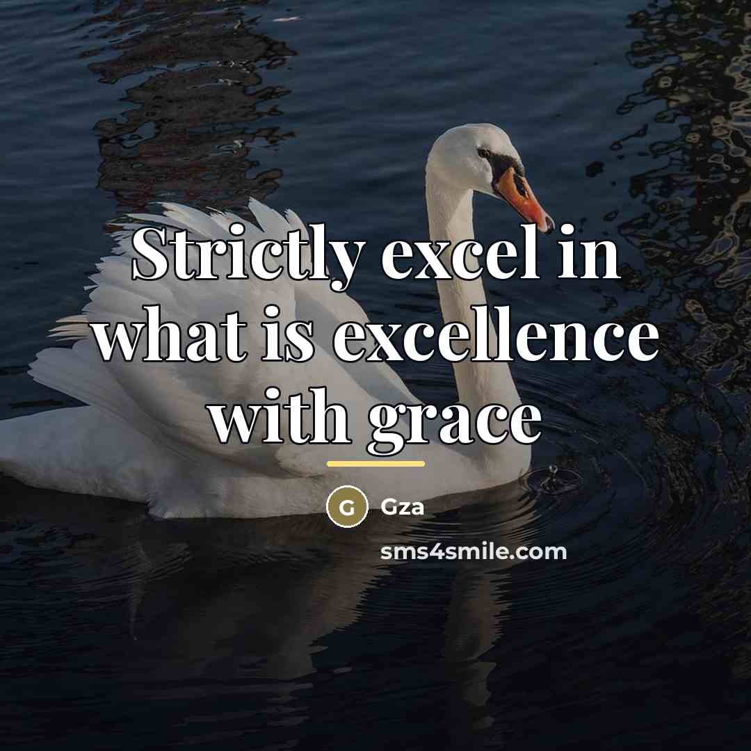 “Strictly excel in what is excellence with grace…” quote by GZA