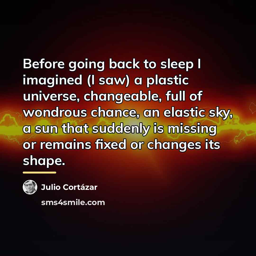 “Before going back to sleep I imagined (I saw) a…” quote by Julio Cortazar