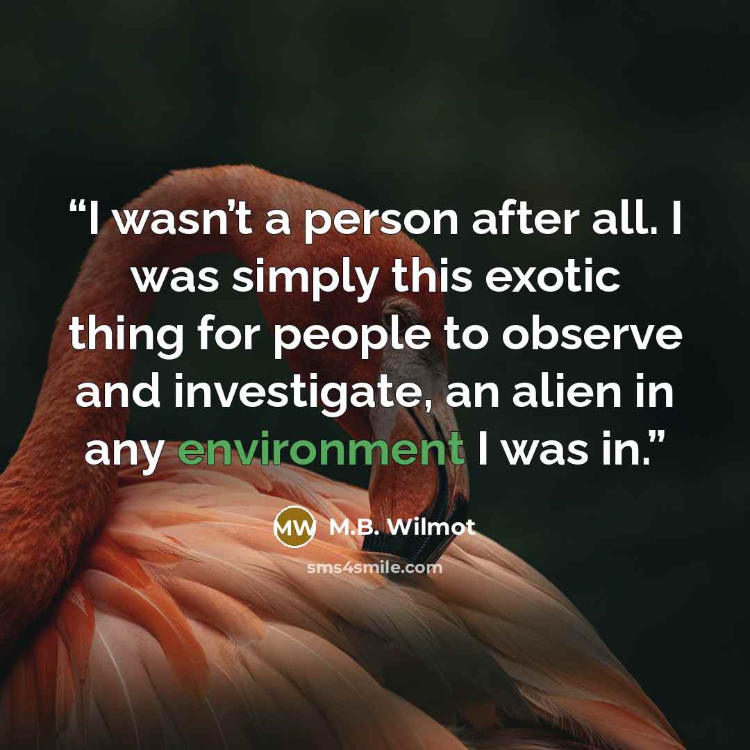 “I wasn’t a person after all. I was simply this exotic thing for people to observe and investigate, an alien in any environment I was in.” quote by M.B. Wilmot