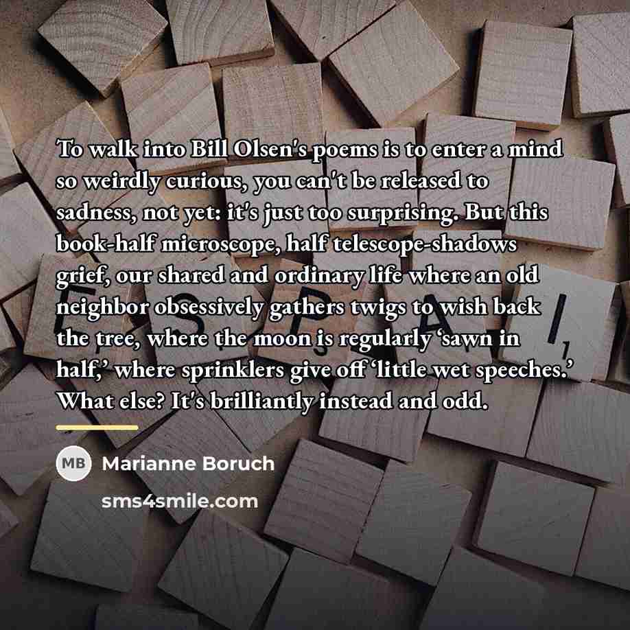 “To walk into Bill Olsen's poems is to enter a…” quote by Marianne Boruch