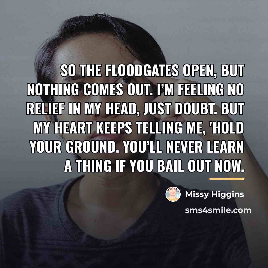 “So the floodgates open, but nothing comes out. I’m feeling…” quote by Missy Higgins