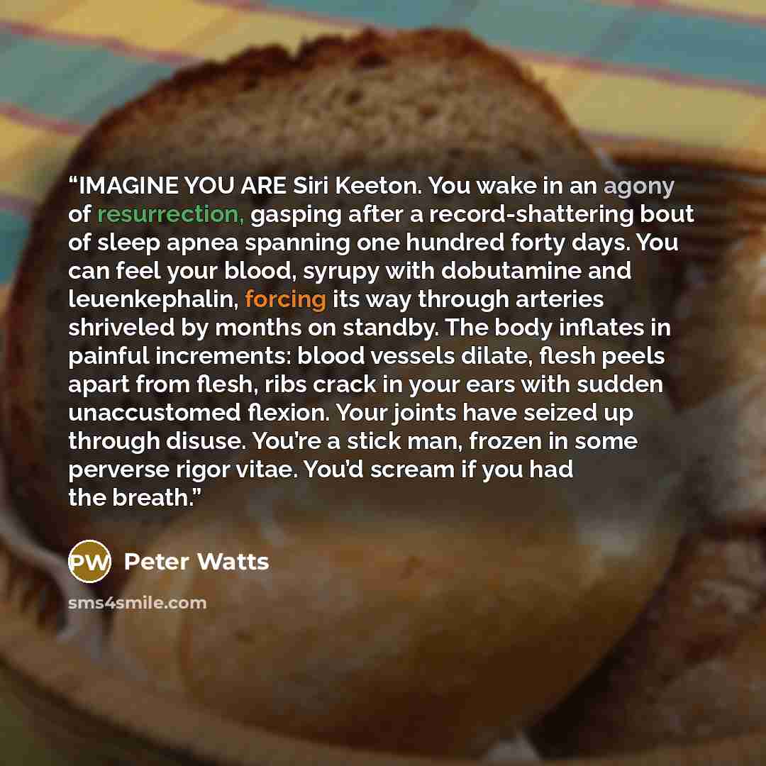 “IMAGINE YOU ARE Siri Keeton. You wake in an agony of resurrection, gasping after a record-shattering bout of sleep apnea spanning one hundred forty days. You can feel your blood, syrupy with dobutamine and leuenkephalin, forcing its way through arteries shriveled by months on standby. The body…” quote by Peter Watts