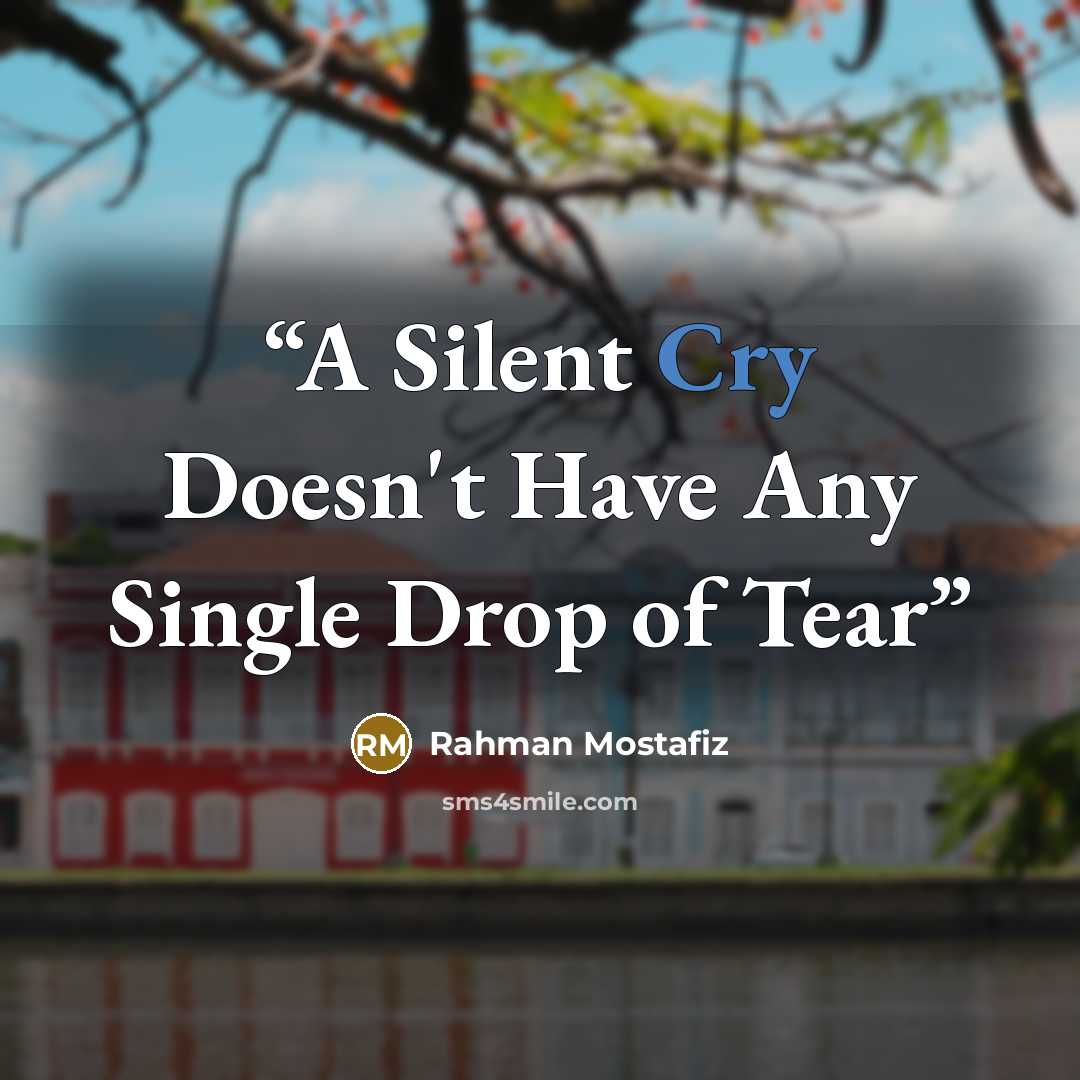 “A Silent Cry Doesn't Have Any Single Drop of Tear” quote by Rahman Mostafiz