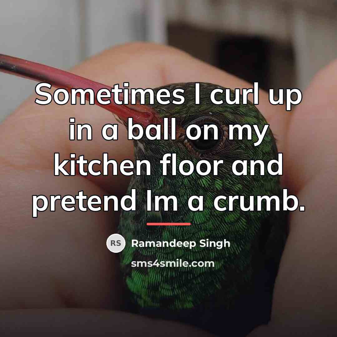 “Sometimes I curl up in a ball on my kitchen…” quote by Ramandeep Singh