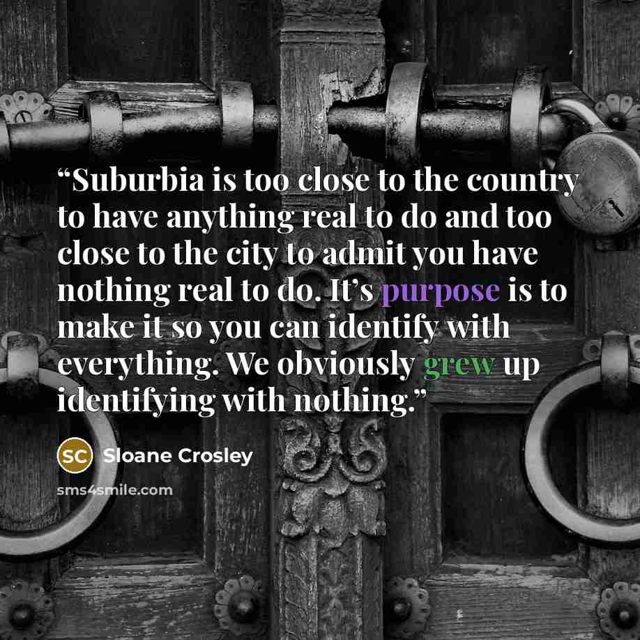 “Suburbia is too close to the country to have anything real to do and too close to the city to admit you have nothing real to do. It’s purpose is to make it so you can identify with everything. We obviously grew up identifying with nothing.” quote by Sloane Crosley