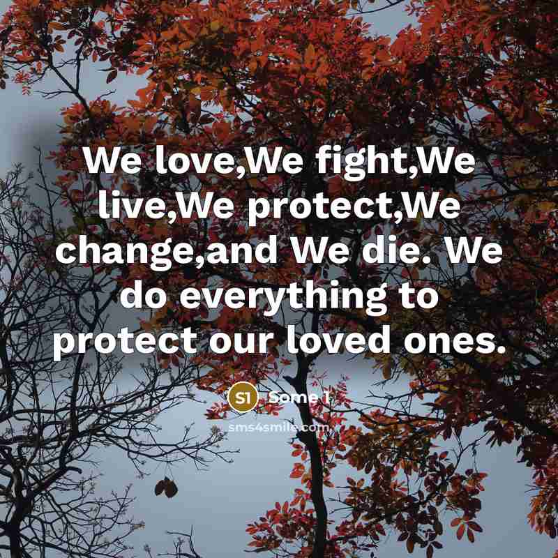“We love,We fight,We live,We protect,We change,and We die. We do…” quote by Some 1