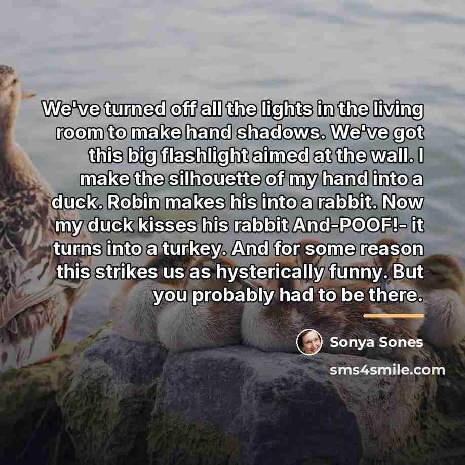 “We've turned off all the lights in the living room…” quote by Sonya Sones