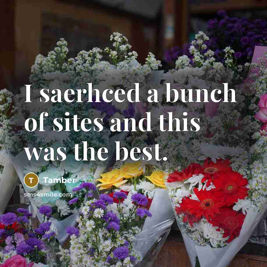 “I saerhced a bunch of sites and this was the…” quote by Tamber