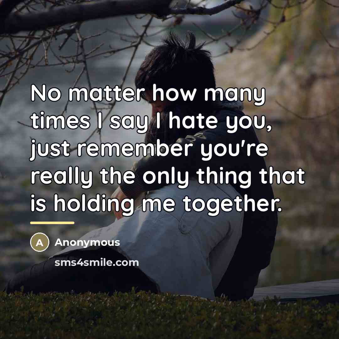 “No matter how many times I say I hate you,…” quote by Anonymous