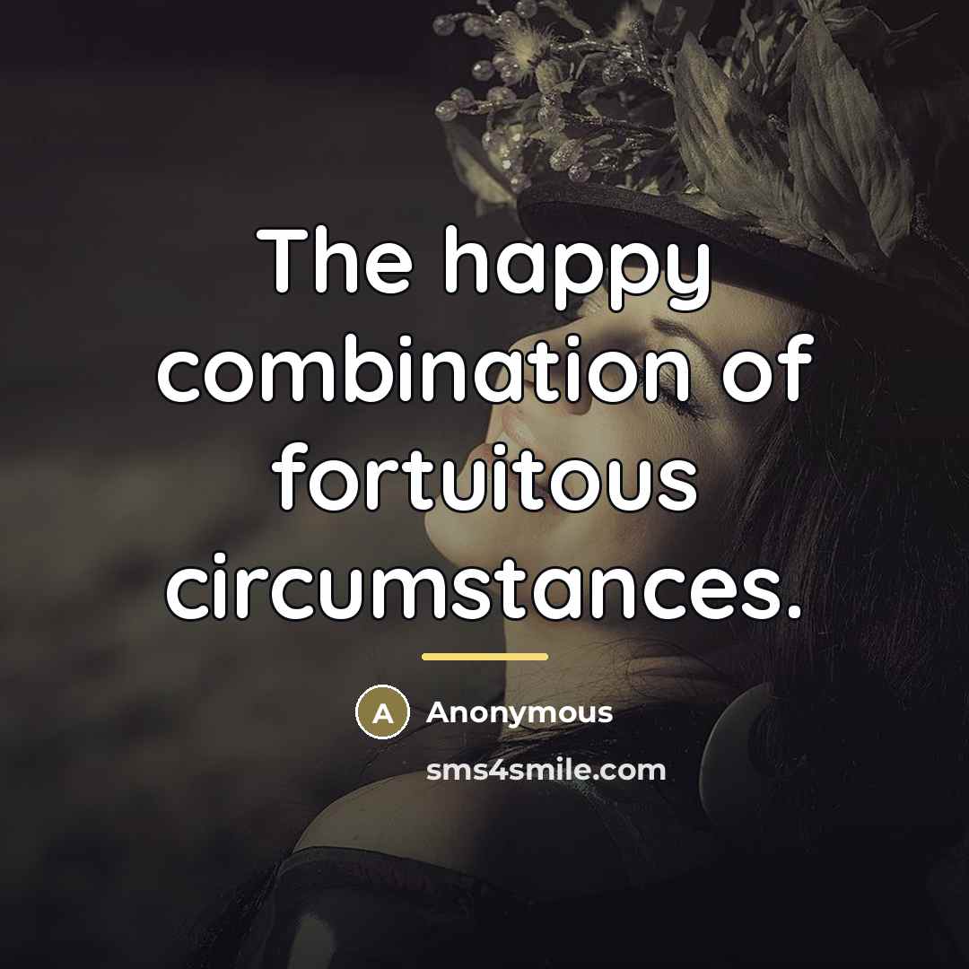 “The happy combination of fortuitous circumstances.…” quote by Anonymous