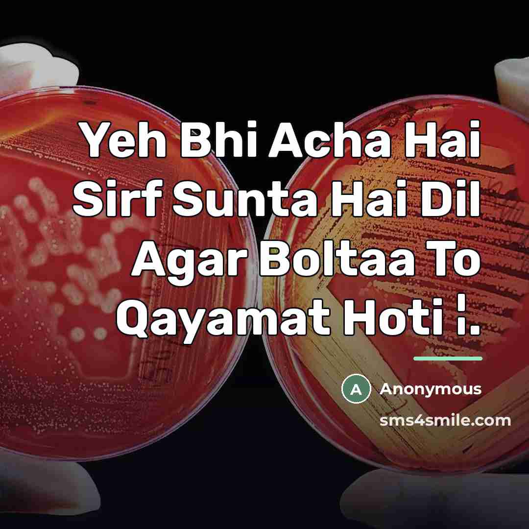 “Yeh Bhi Acha Hai Sirf Sunta Hai Dil Agar Boltaa To Qayamat Hoti ¦.” quote by Anonymous