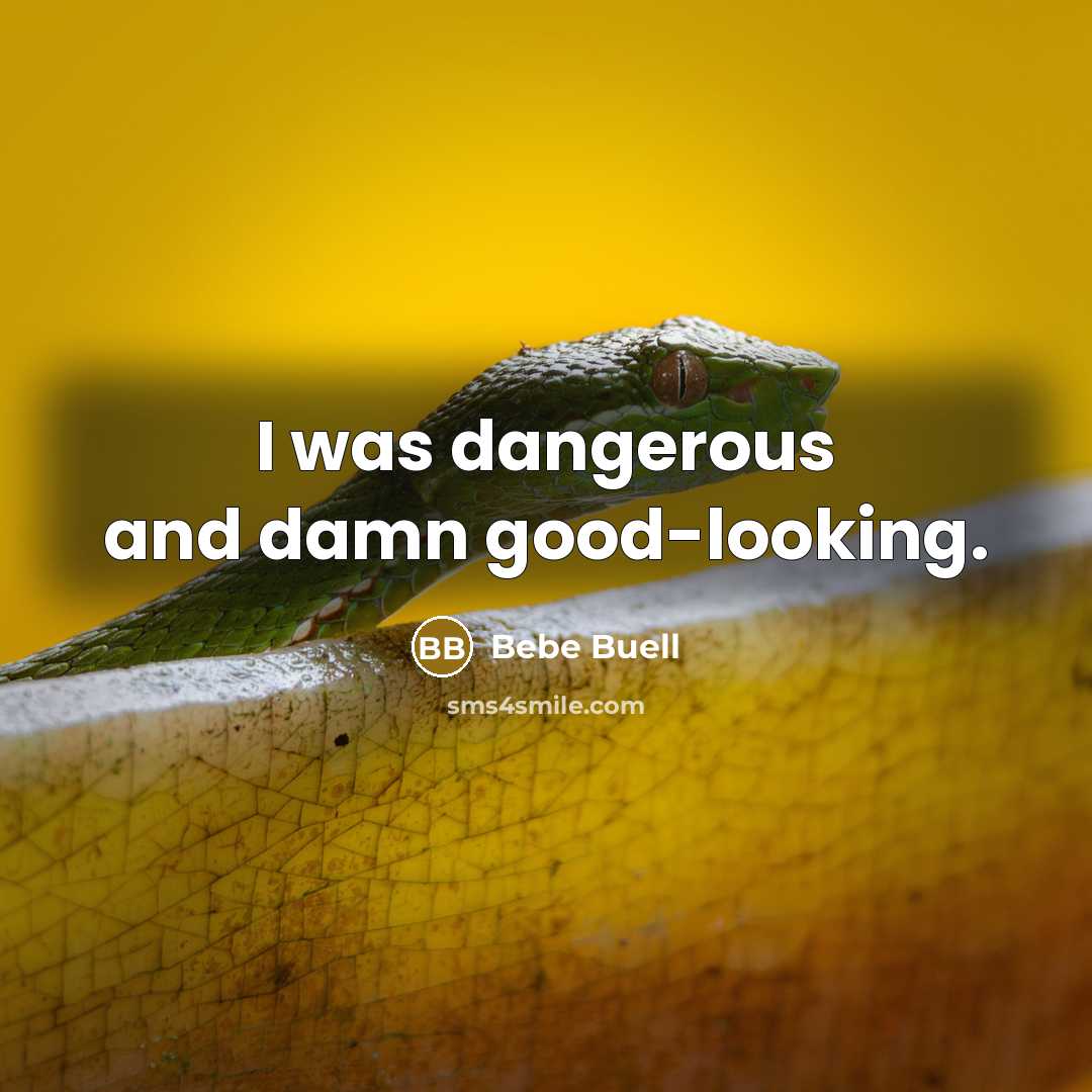 “I was dangerous and damn good-looking.…” quote by Bebe Buell