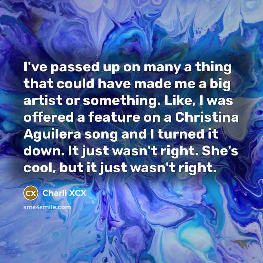 “I've passed up on many a thing that could have…” quote by Charli XCX