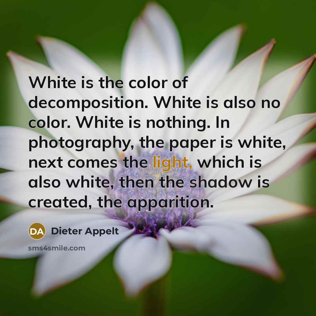 “White is the color of decomposition. White is also no…” quote by Dieter Appelt