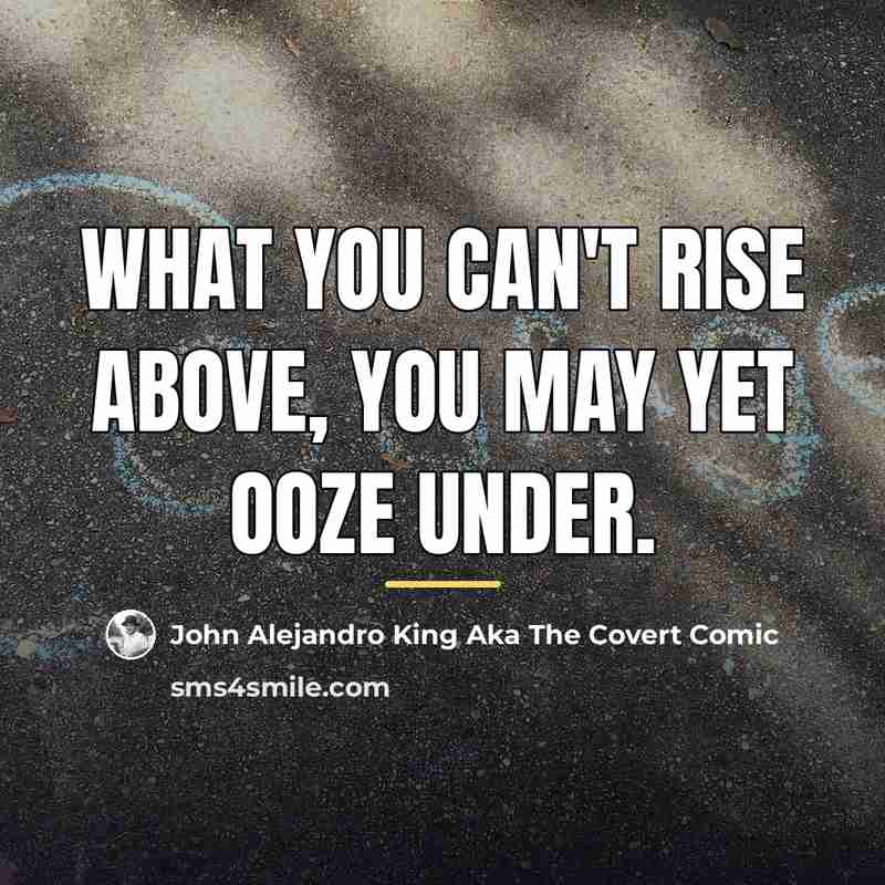 “What you can't rise above, you may yet ooze under.…” quote by John Alejandro King Aka The Covert Comic