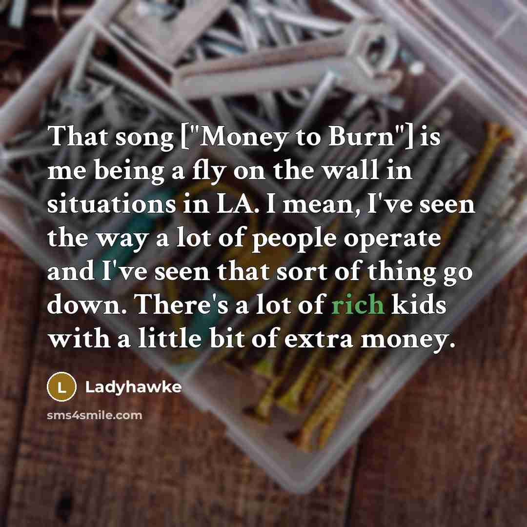 “That song ["Money to Burn"] is me being a fly…” quote by Ladyhawke