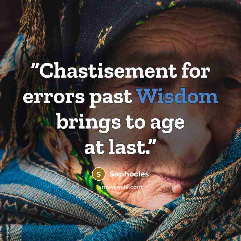 “Chastisement for errors past Wisdom brings to age at last.” quote by Sophocles