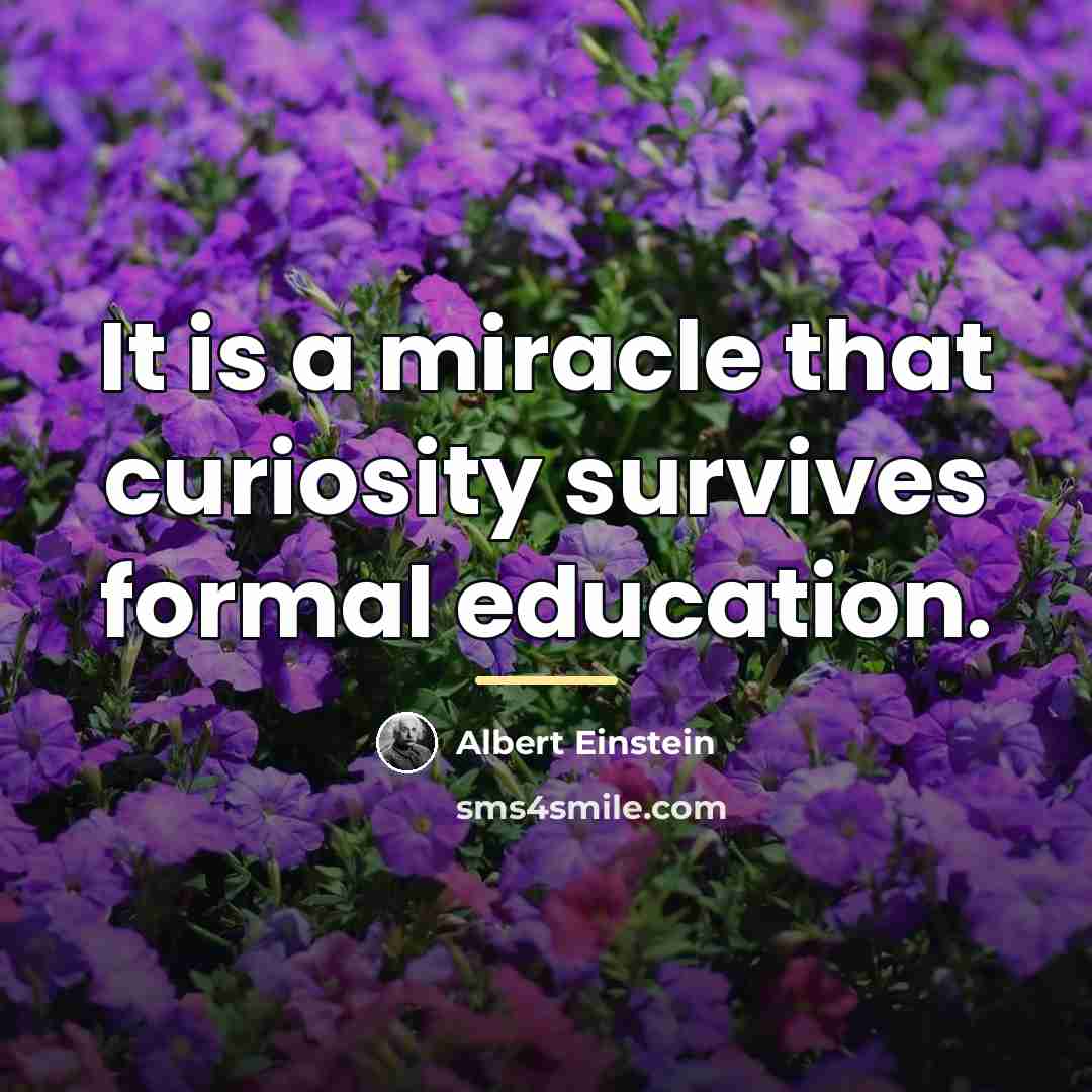 “It is a miracle that curiosity survives formal education.…” quote by Albert Einstein