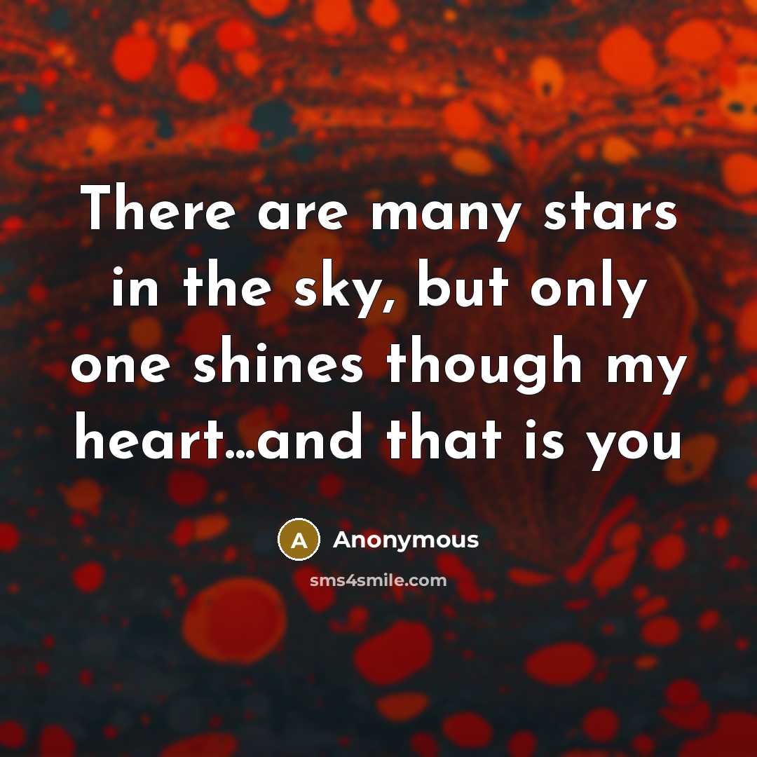 “There are many stars in the sky, but only one…” quote by Anonymous