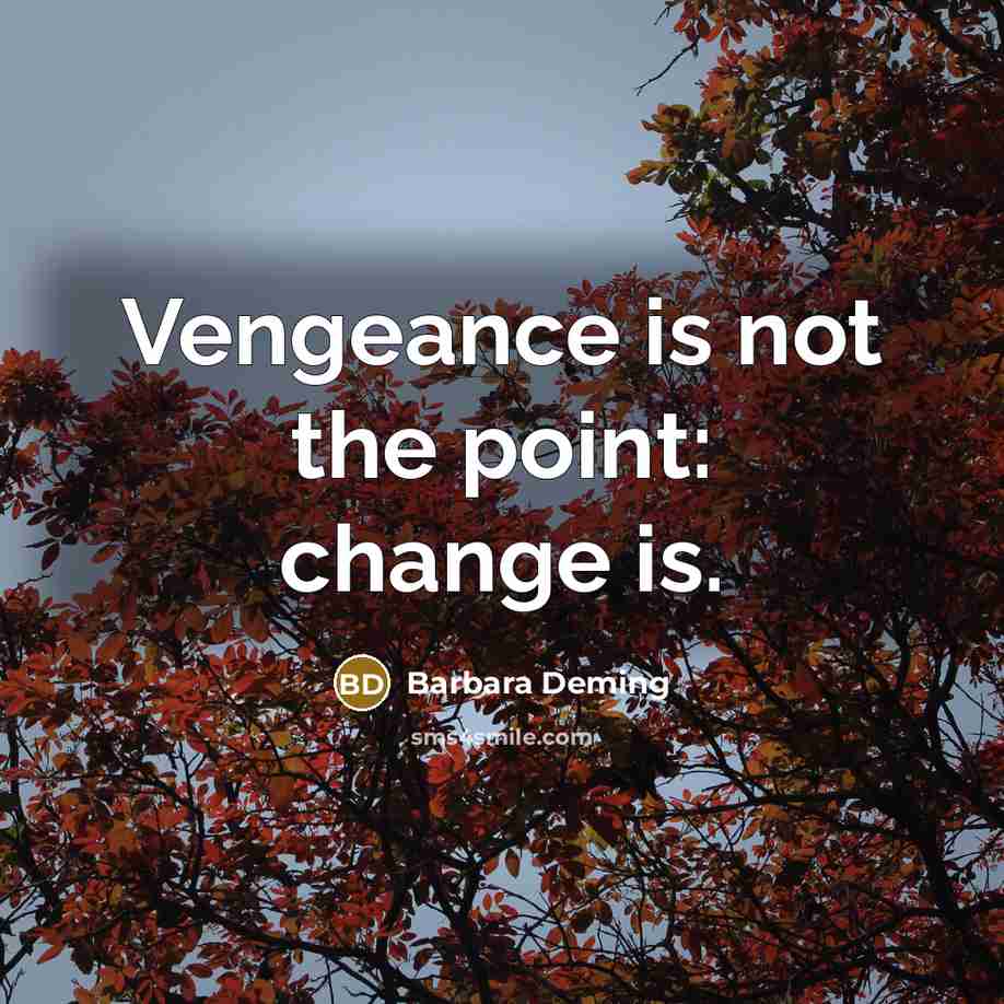 “Vengeance is not the point: change is.…” quote by Barbara Deming
