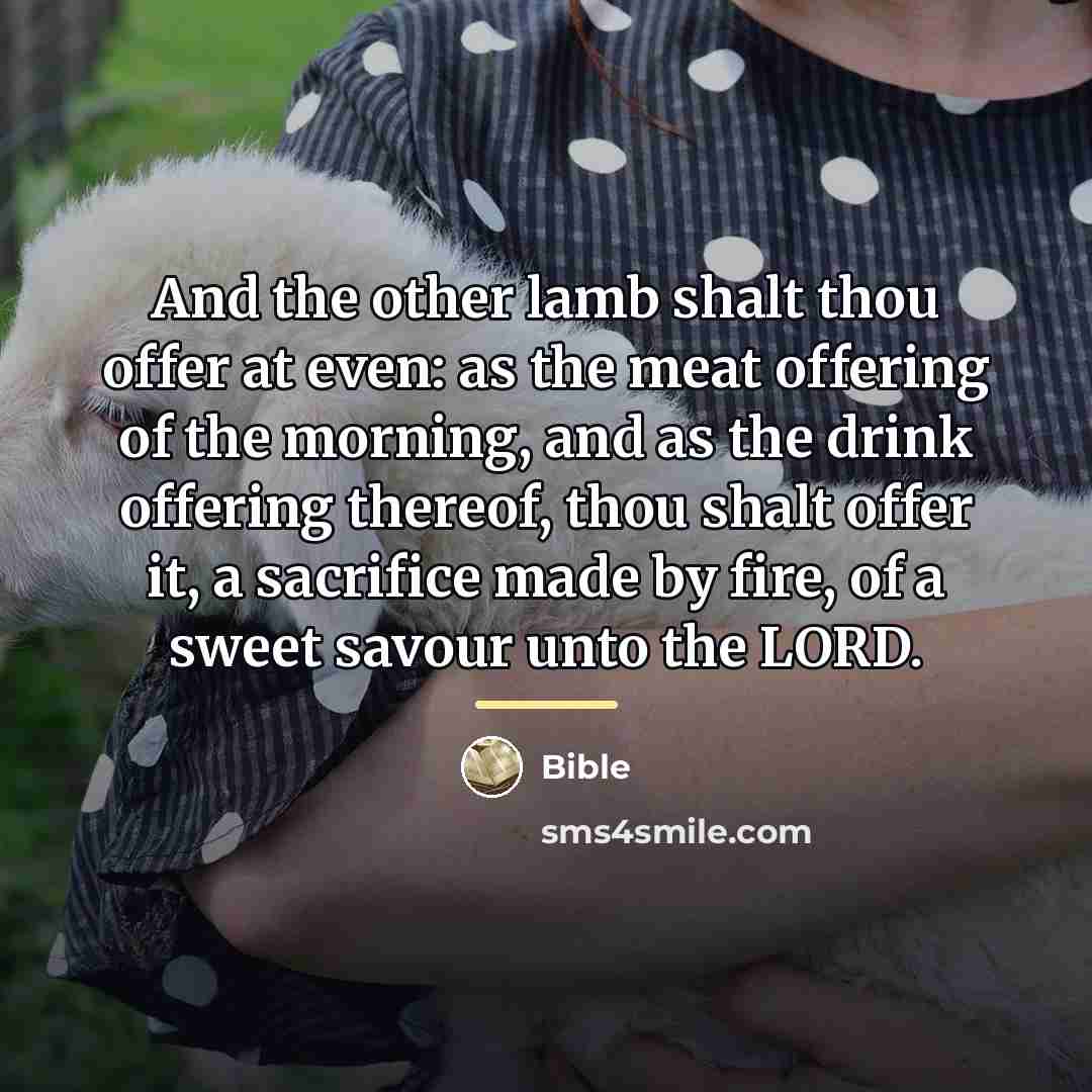 “And the other lamb shalt thou offer at even: as…” quote by Bible