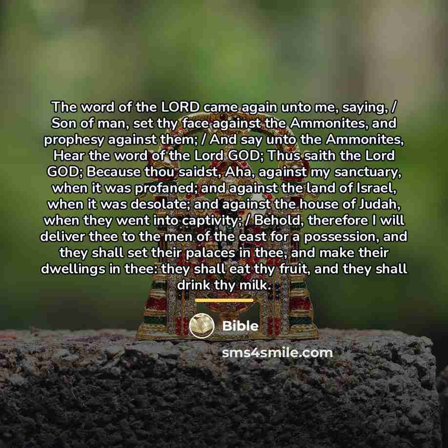 “The word of the LORD came again unto me, saying,…” quote by Bible