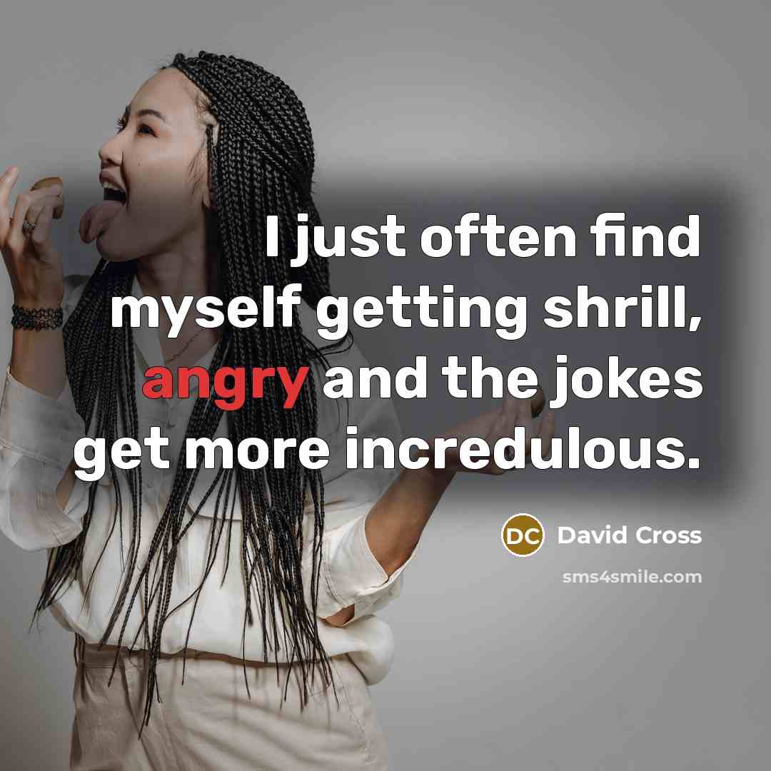 “I just often find myself getting shrill, angry and the…” quote by David Cross