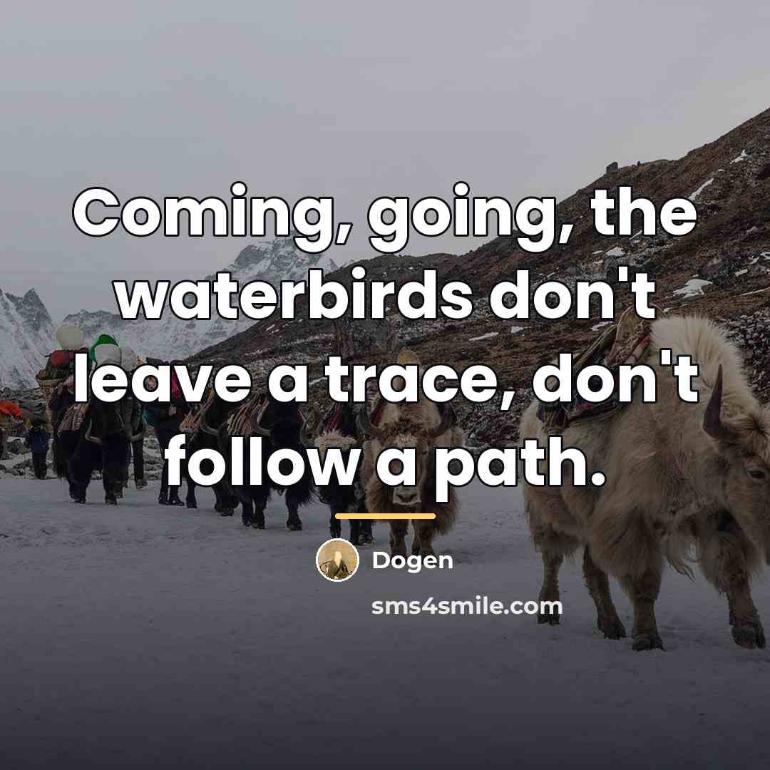 “Coming, going, the waterbirds don't leave a trace, don't follow…” quote by Dogen