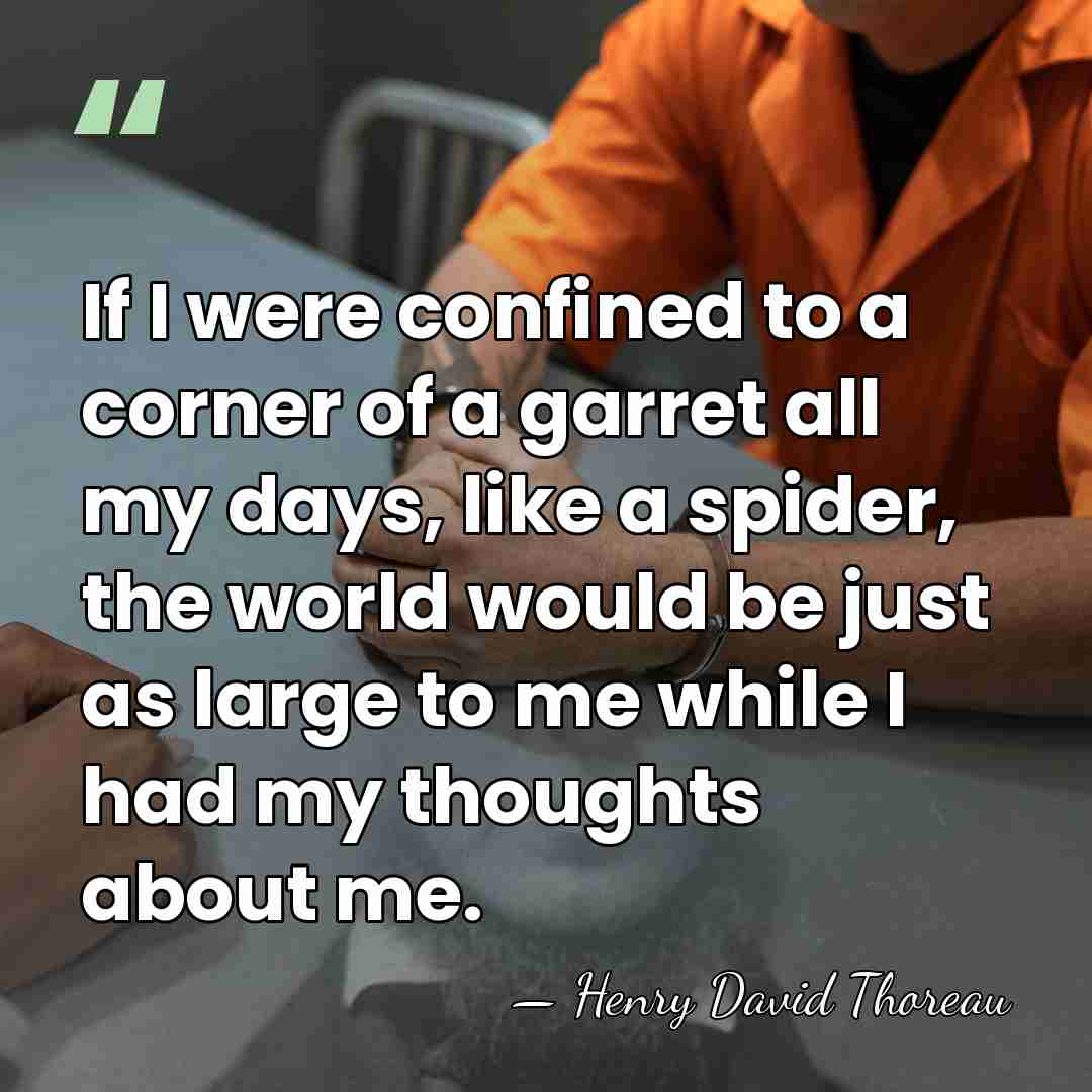 If I were confined to a corner of a garret all my&hellip; - Henry David Thoreau