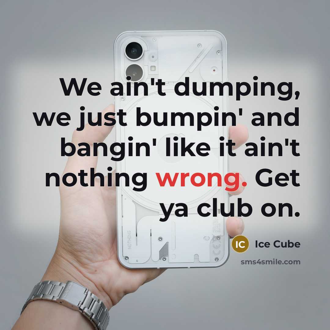 “We ain't dumping, we just bumpin' and bangin' like it…” quote by Ice Cube