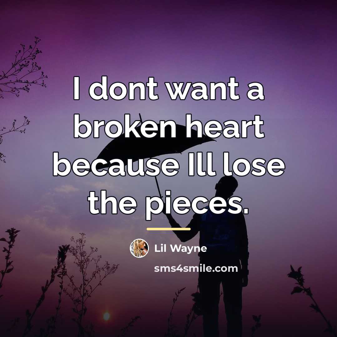 “I dont want a broken heart because Ill lose the…” quote by Lil Wayne
