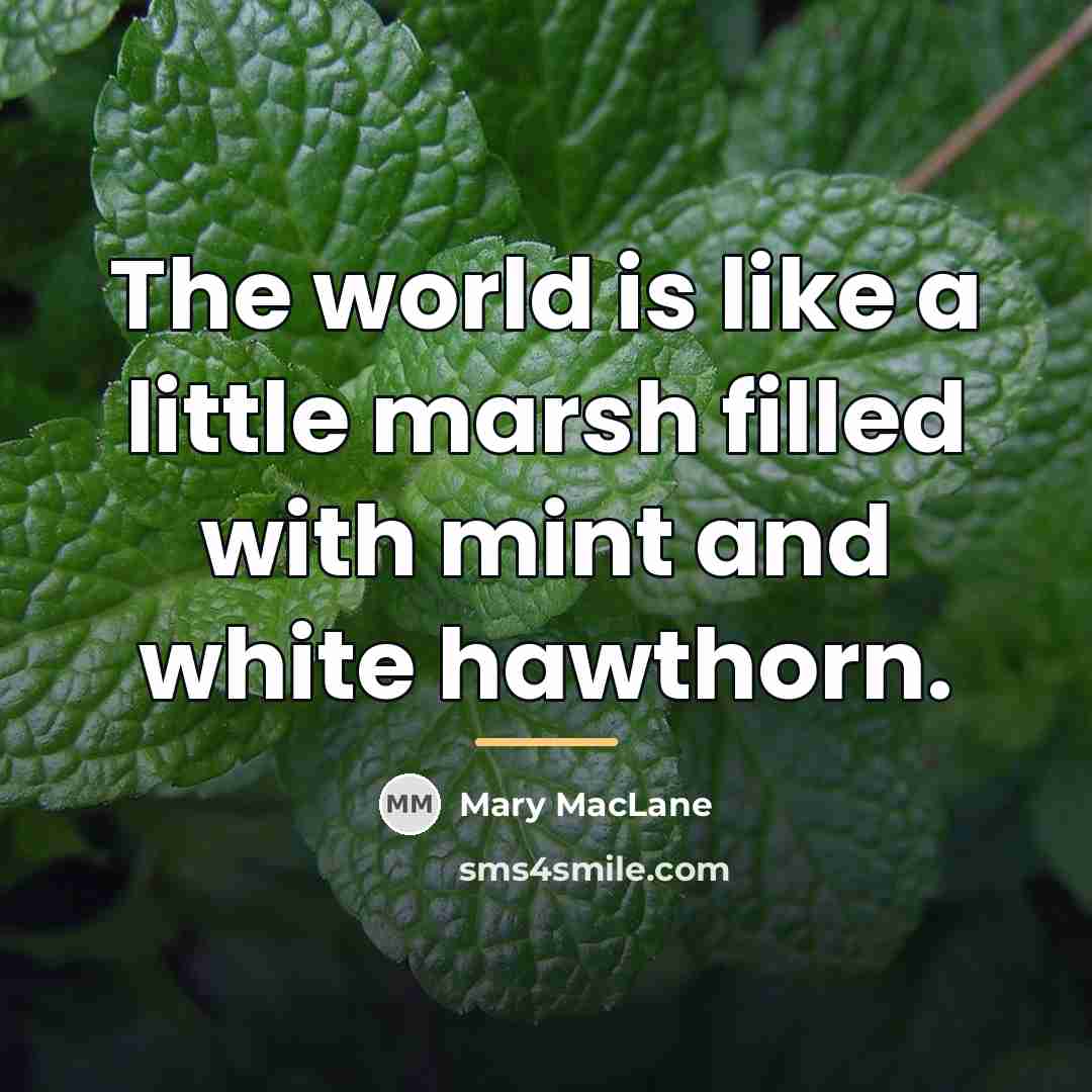 “The world is like a little marsh filled with mint…” quote by Mary MacLane