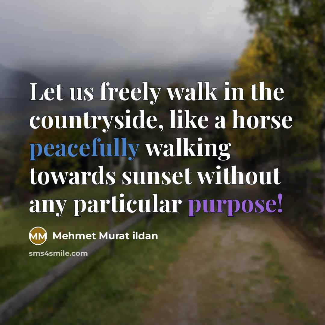 “Let us freely walk in the countryside, like a horse…” quote by Mehmet Murat Ildan