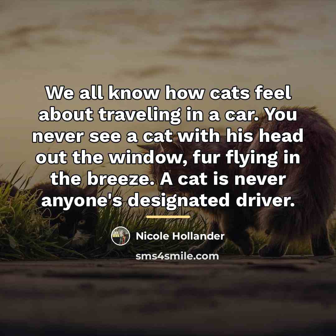 “We all know how cats feel about traveling in a…” quote by Nicole Hollander