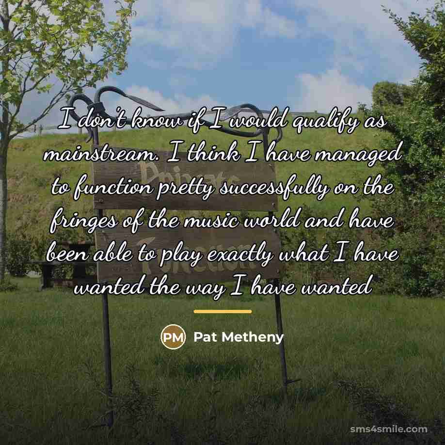 “I don't know if I would qualify as mainstream. I…” quote by Pat Metheny