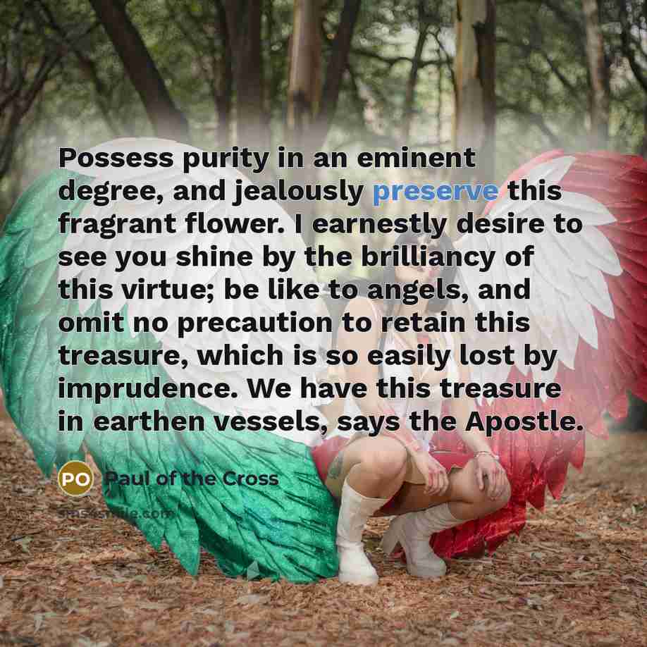 “Possess purity in an eminent degree, and jealously preserve this…” quote by Paul of the Cross