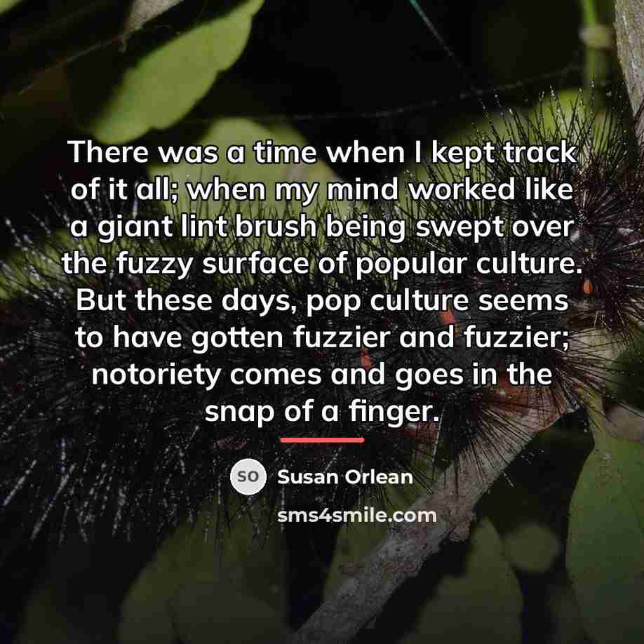 “There was a time when I kept track of it…” quote by Susan Orlean