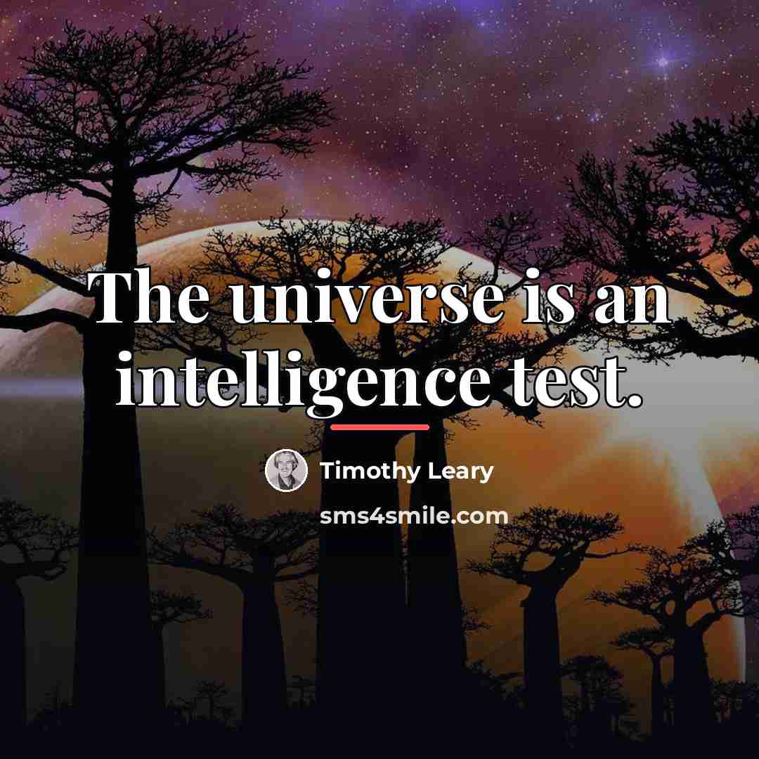 “The universe is an intelligence test.…” quote by Timothy Leary