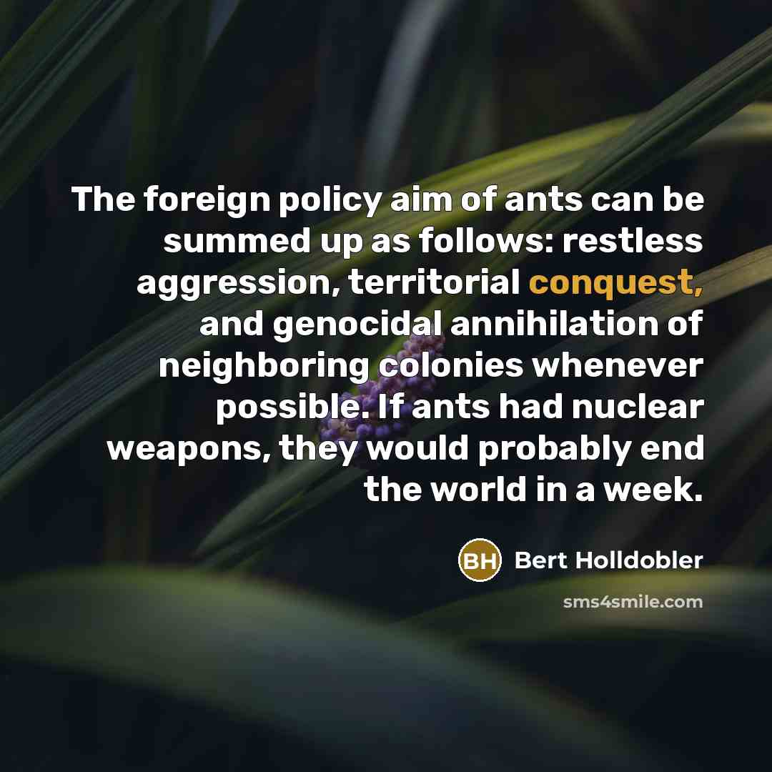 “The foreign policy aim of ants can be summed up…” quote by Bert Holldobler